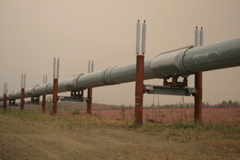 Alaska Pipeline