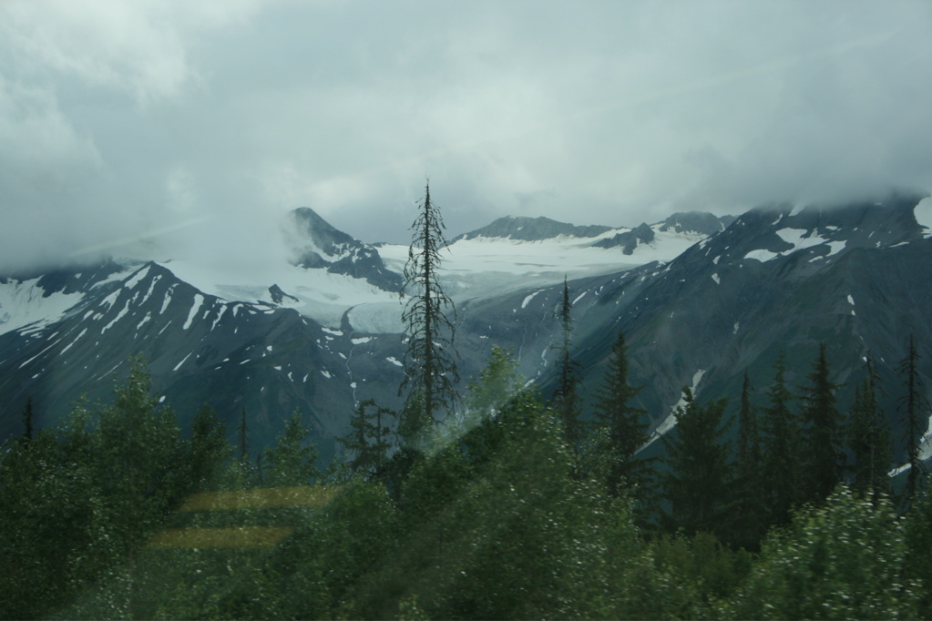 Glacier Field