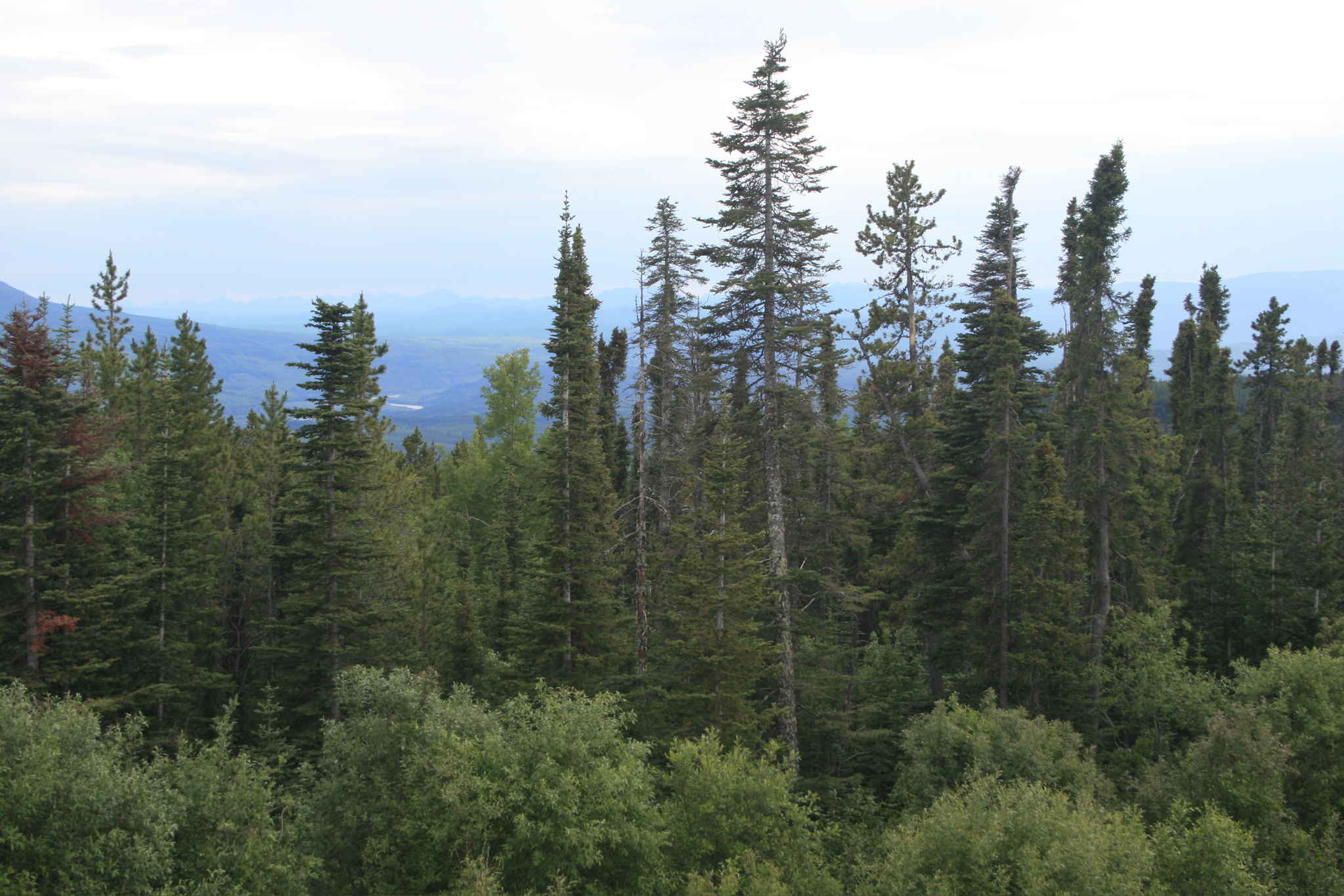 View from highway