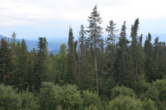 View from highway