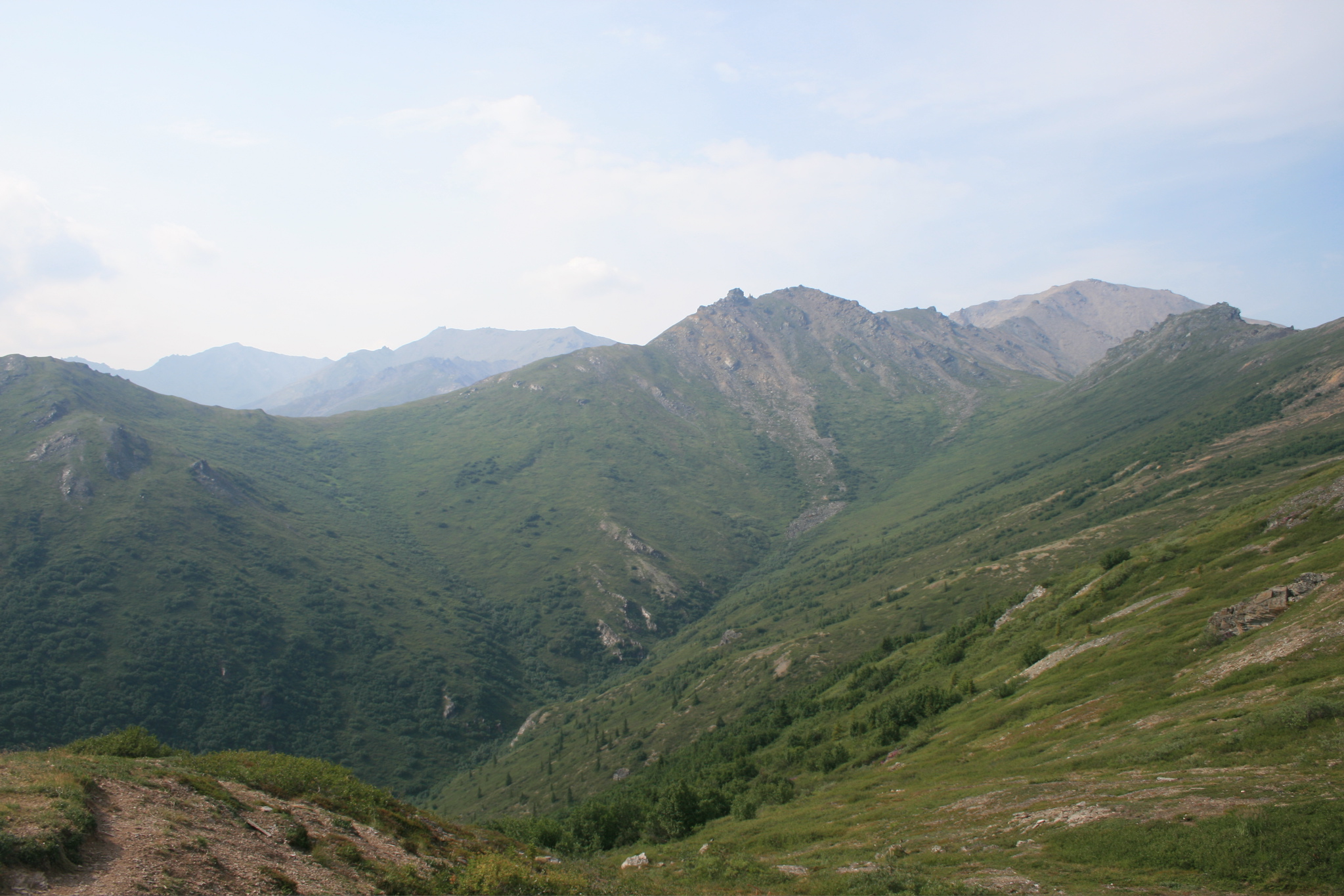 View from Mount Healy Overlook