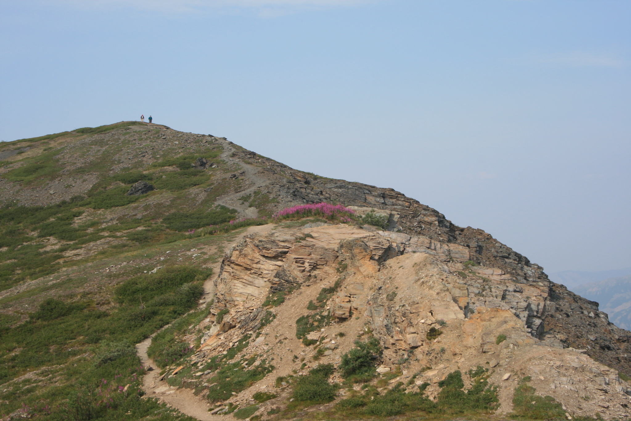 Looking up to Mount Healy Overlook