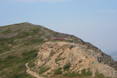 Looking up to Mount Healy Overlook