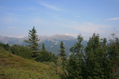 View On Way Down